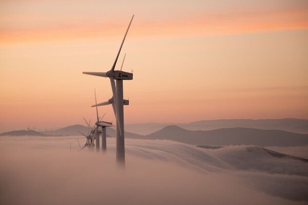 Windmills drowning in morning fog