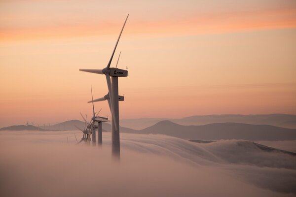 Molinos de viento ahogados en la niebla de la mañana