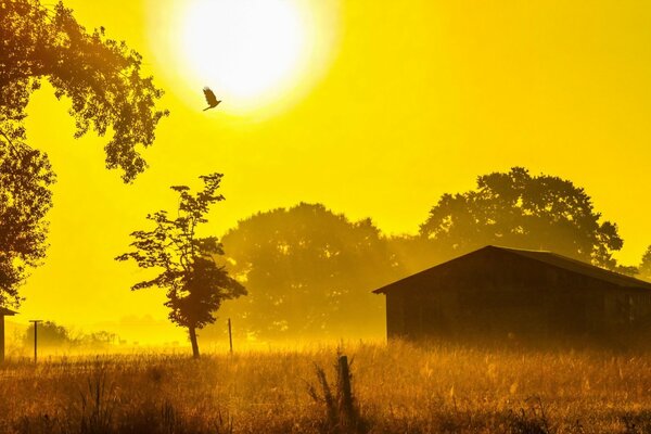 Wallpaper with a beautiful sunset and a lonely house