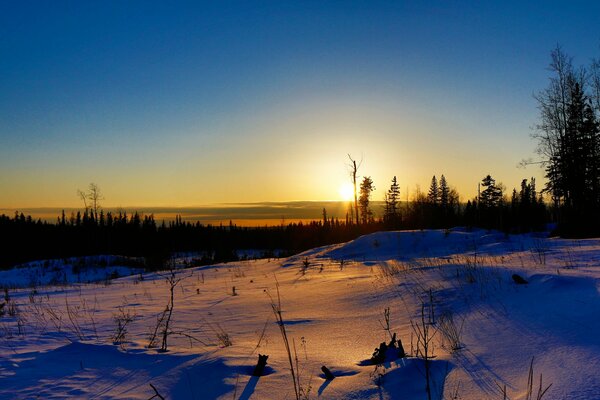 Winter sunset in the rays of the sun