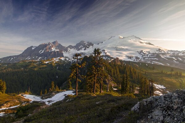 Matin paisible sur le flanc de la montagne