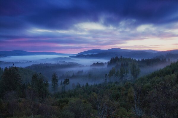 Schottland Sonnenuntergang und Nebel im Wald