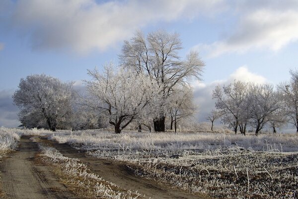 Route dans un champ couvert de givre