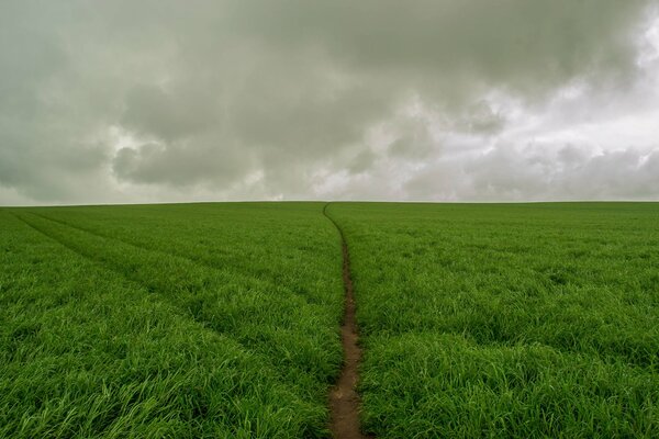 Una combinación de campo enojado y cielo gris