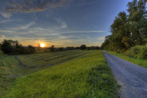 Camino al campo al atardecer