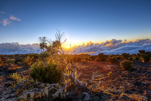 Hermosa puesta de sol con nubes en el campo