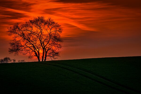 Immagine del paesaggio sullo sfondo del tramonto