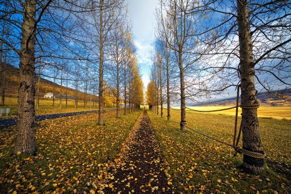 Autumn landscape, golden autumn