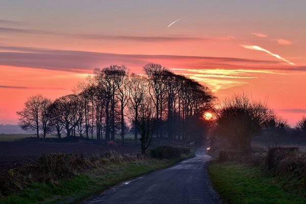 Landscape of nature on the background of sunset