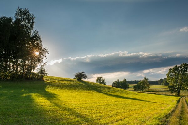 Paisaje de verano campo verde