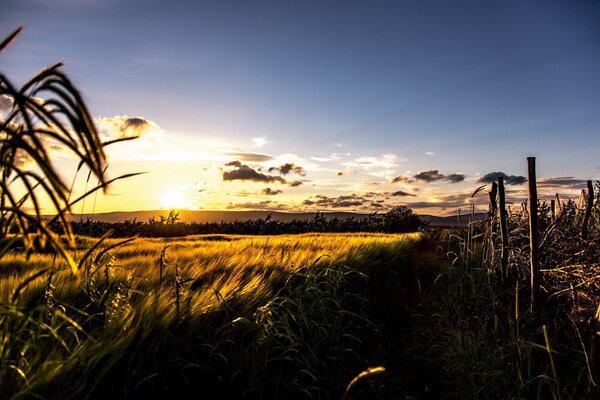 Beau paysage sur le terrain