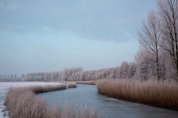 Ein Winterfluss durch einen schlafenden Winterwald