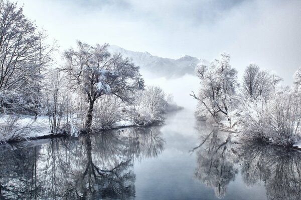 A lake in Germany near snow-covered trees