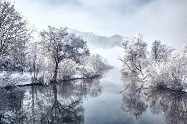 Lago in Germania con alberi innevati