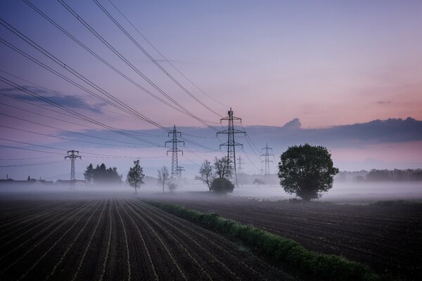 Paisaje de campo de niebla con postes de líneas eléctricas