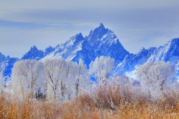 Parque nacional de invierno de Wyoming usa con horamia