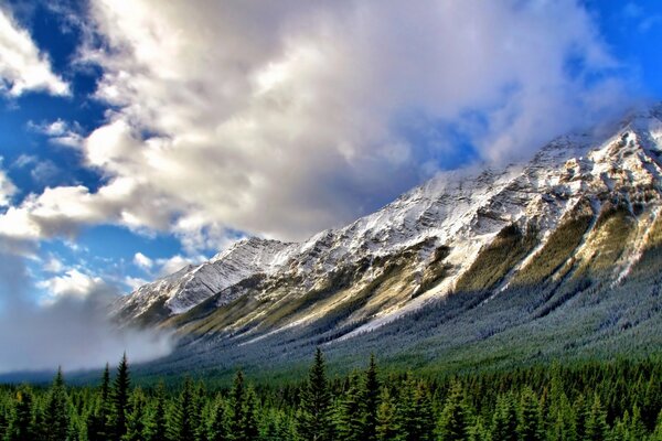 The mountains rise above the forest. clouds and fog