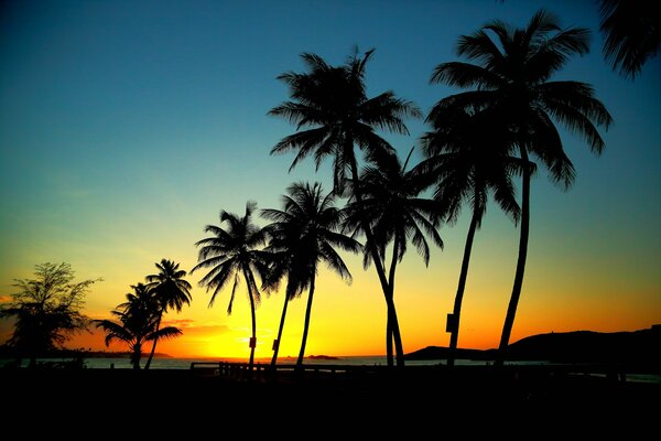 Coucher de soleil sur la mer, belles couleurs