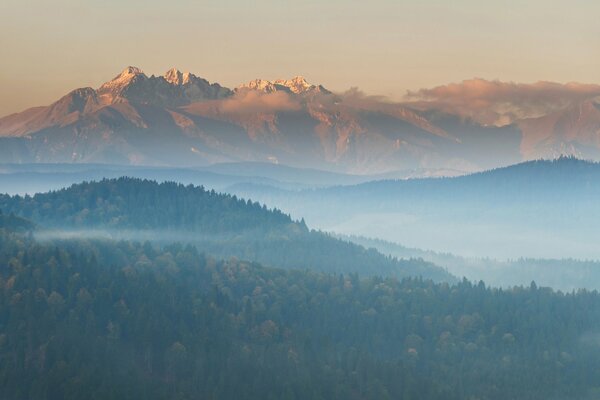 Góry we mgle i las dookoła
