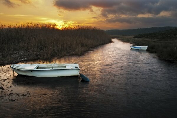 Bateaux dans les roseaux soir coucher de soleil de la rivière