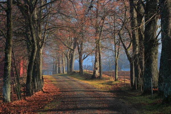 El otoño profundo es hermoso a su manera