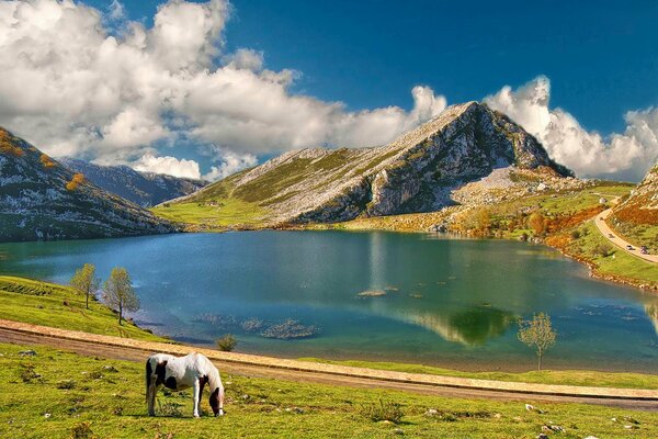 Озеро у гор. пасущаяся лошадь