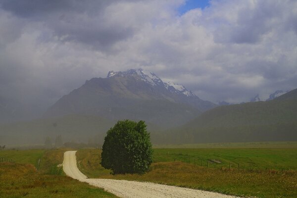 Fog in the mountains of New Zealand