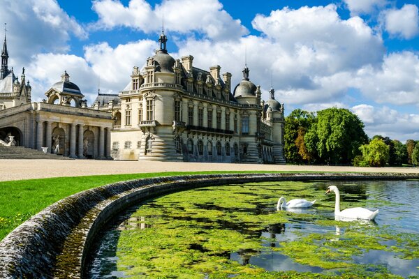 Castillo, Palacio con sus propios cisnes