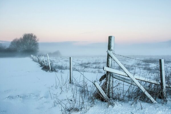 Fog in the morning. Snow field