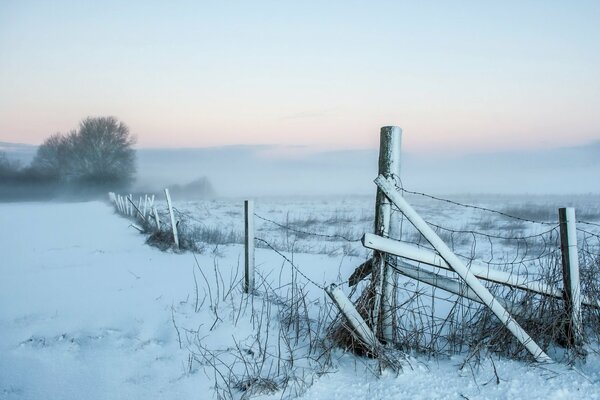 Mgła rano. Śnieżne pole
