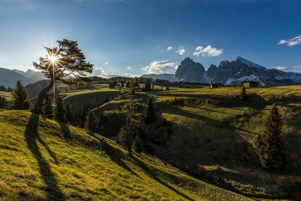 Paisaje de montaña de la mañana