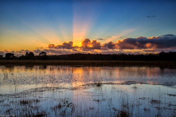 Amanecer naranja en el lago