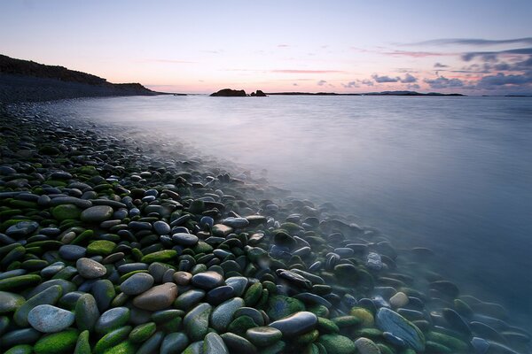 Morning landscape on the lake shore