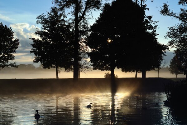 Туманный рассвет на озере. утро
