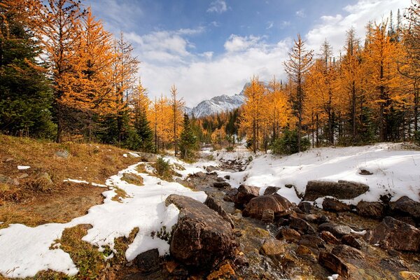 Die Rocky Mountains des kanadischen Nationalparks