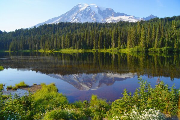 Reflection of the forest and mountains in a beautiful lake