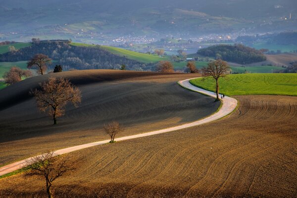 Paisaje con un camino que serpentea entre los campos