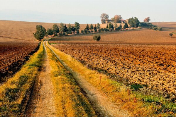 The road going through the field