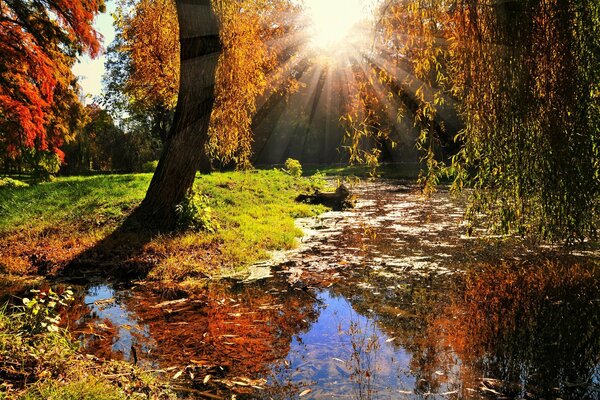 Landscape nature in the sunlight