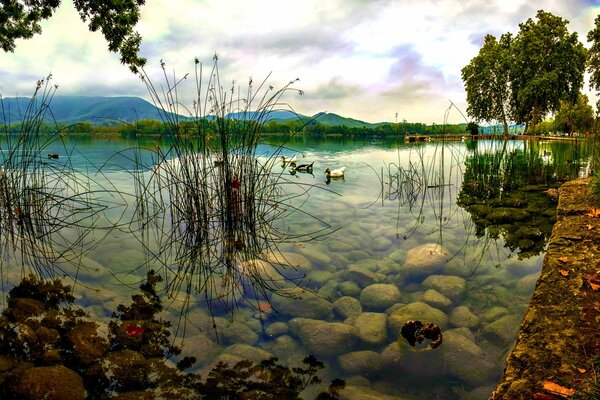 Lago con acqua limpida e alberi intorno