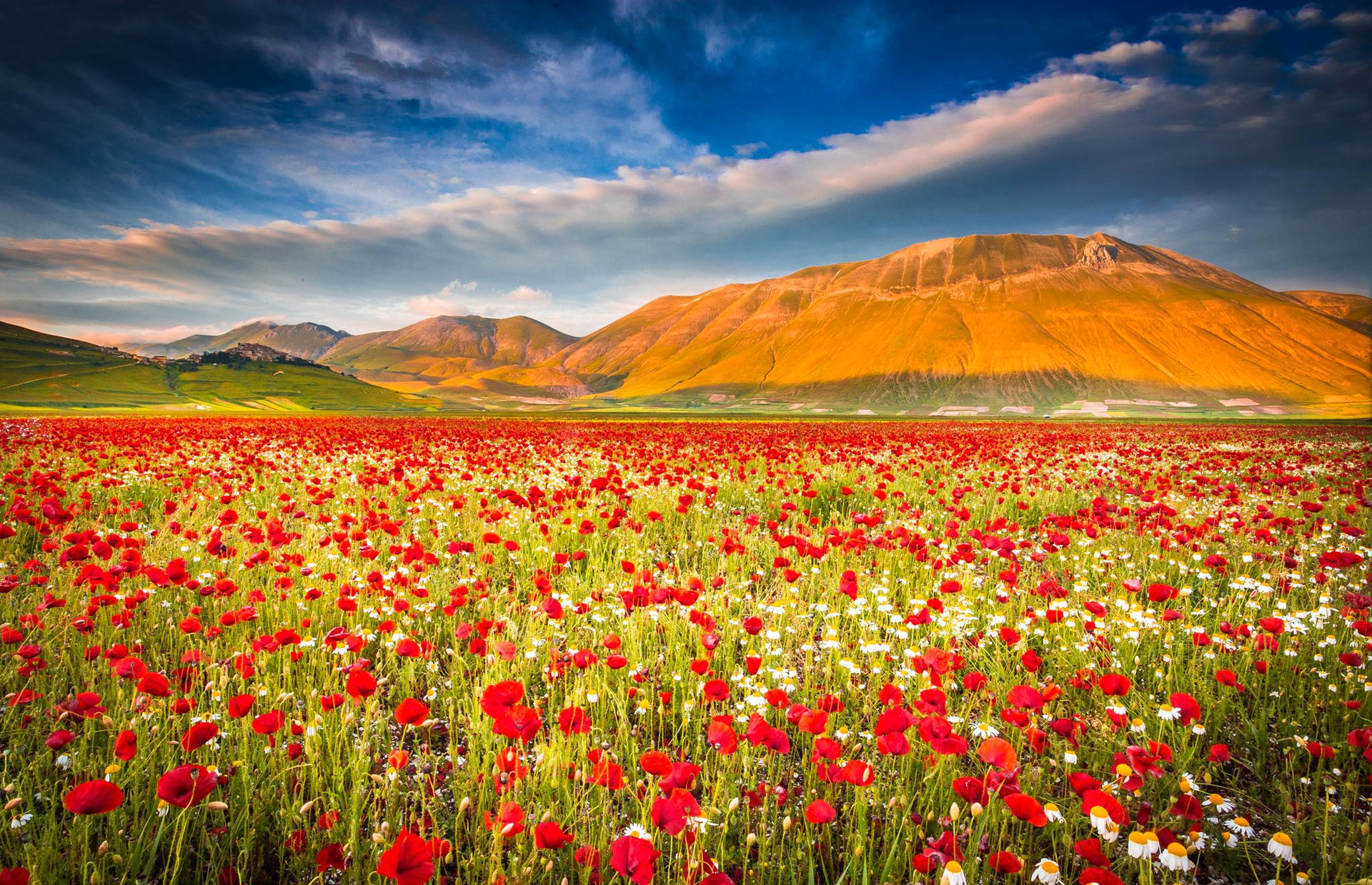 castelluccio di norcia umbria włochy niebo góry pole łąka maki