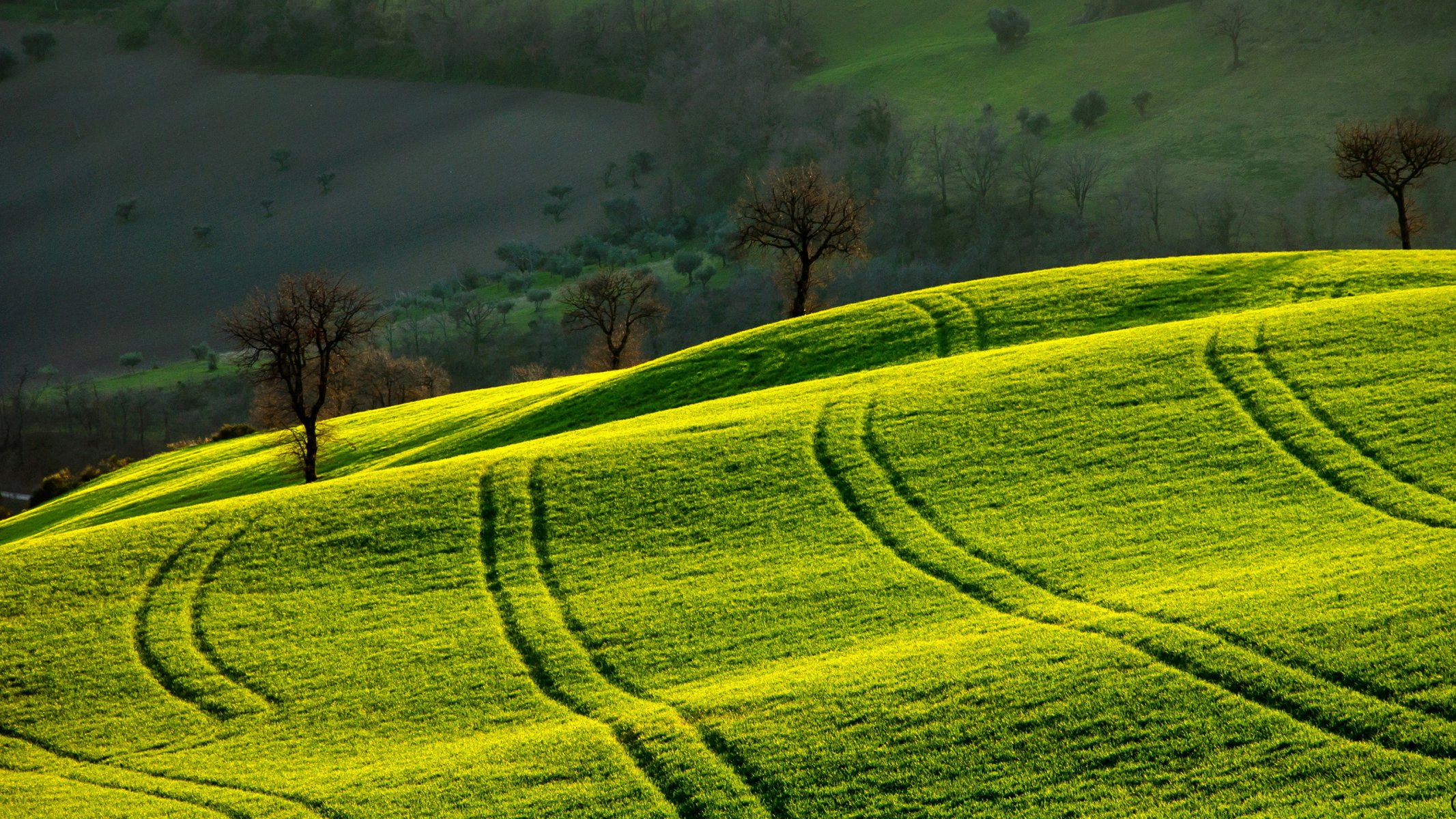 campo mañana paisaje