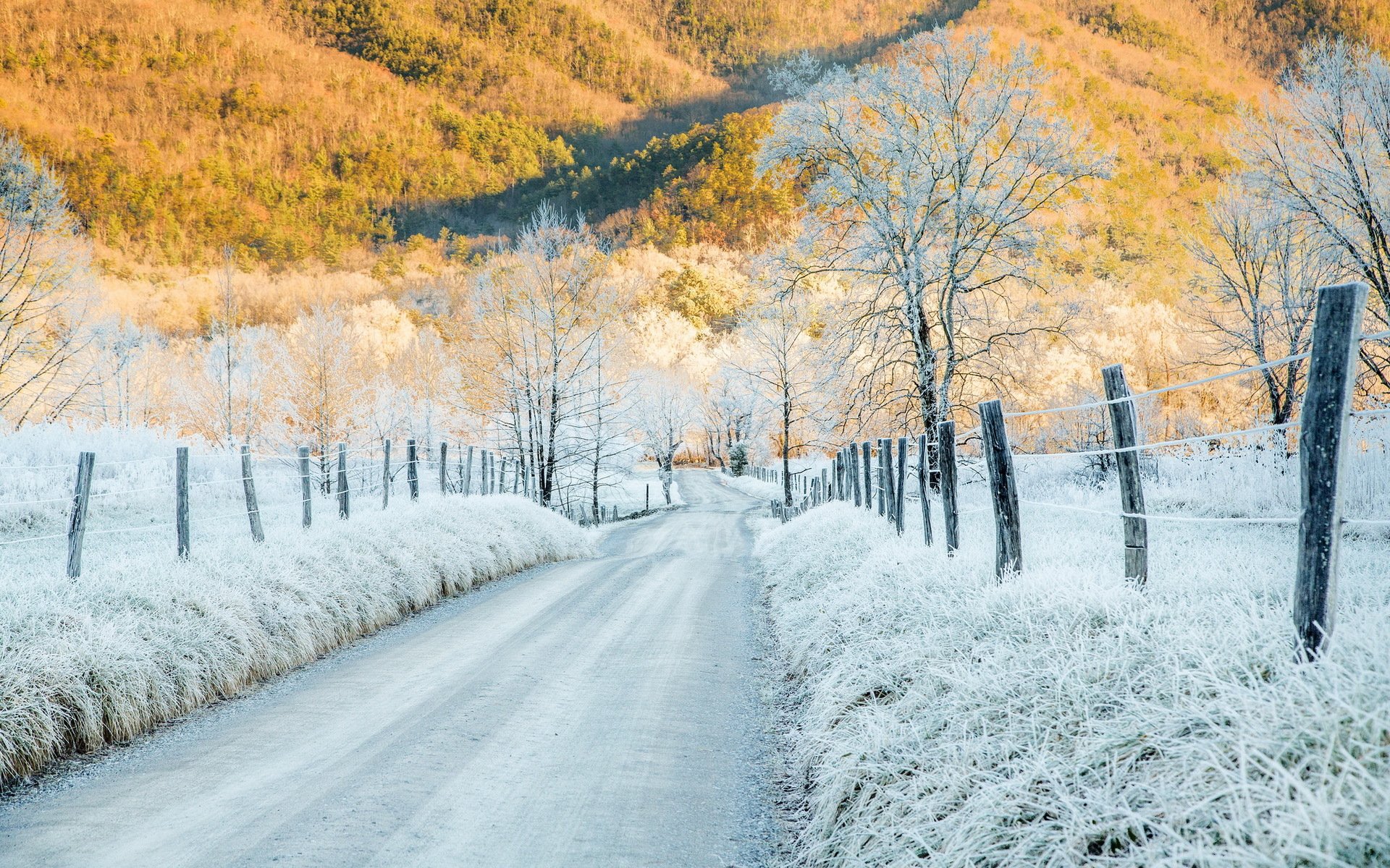 escarcha escarcha frío montaña cades cove tennessee carretera cerca