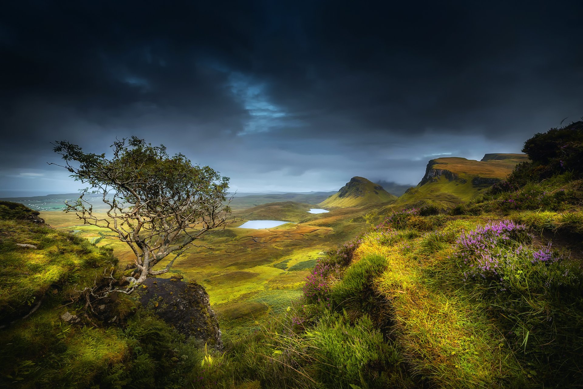 szkocja wyspa skye region highland lato sierpień wzgórza góry klify dolina drzewo trawa kwiaty chmury chmury