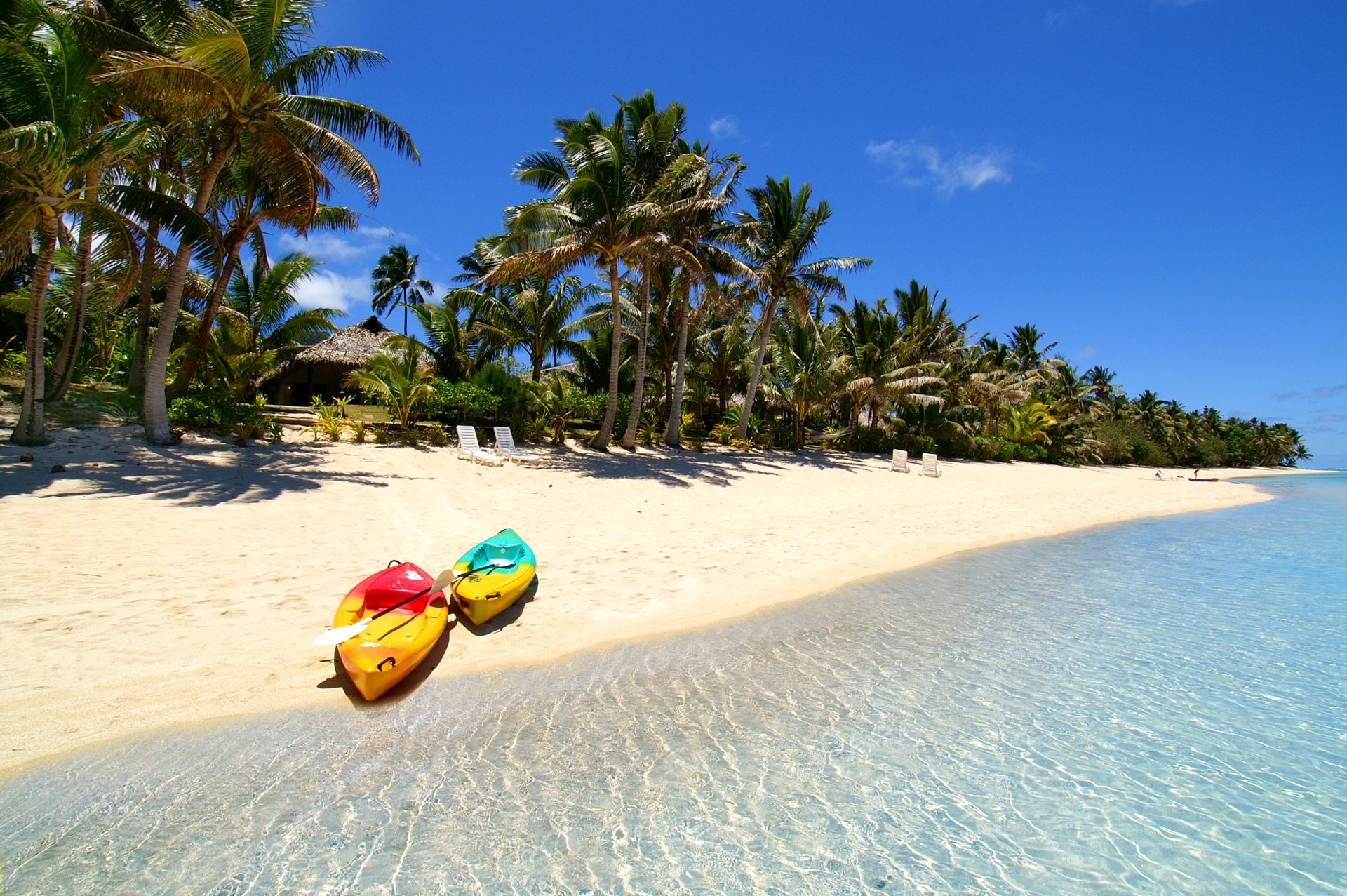 the maldives tropics island sea palm boat