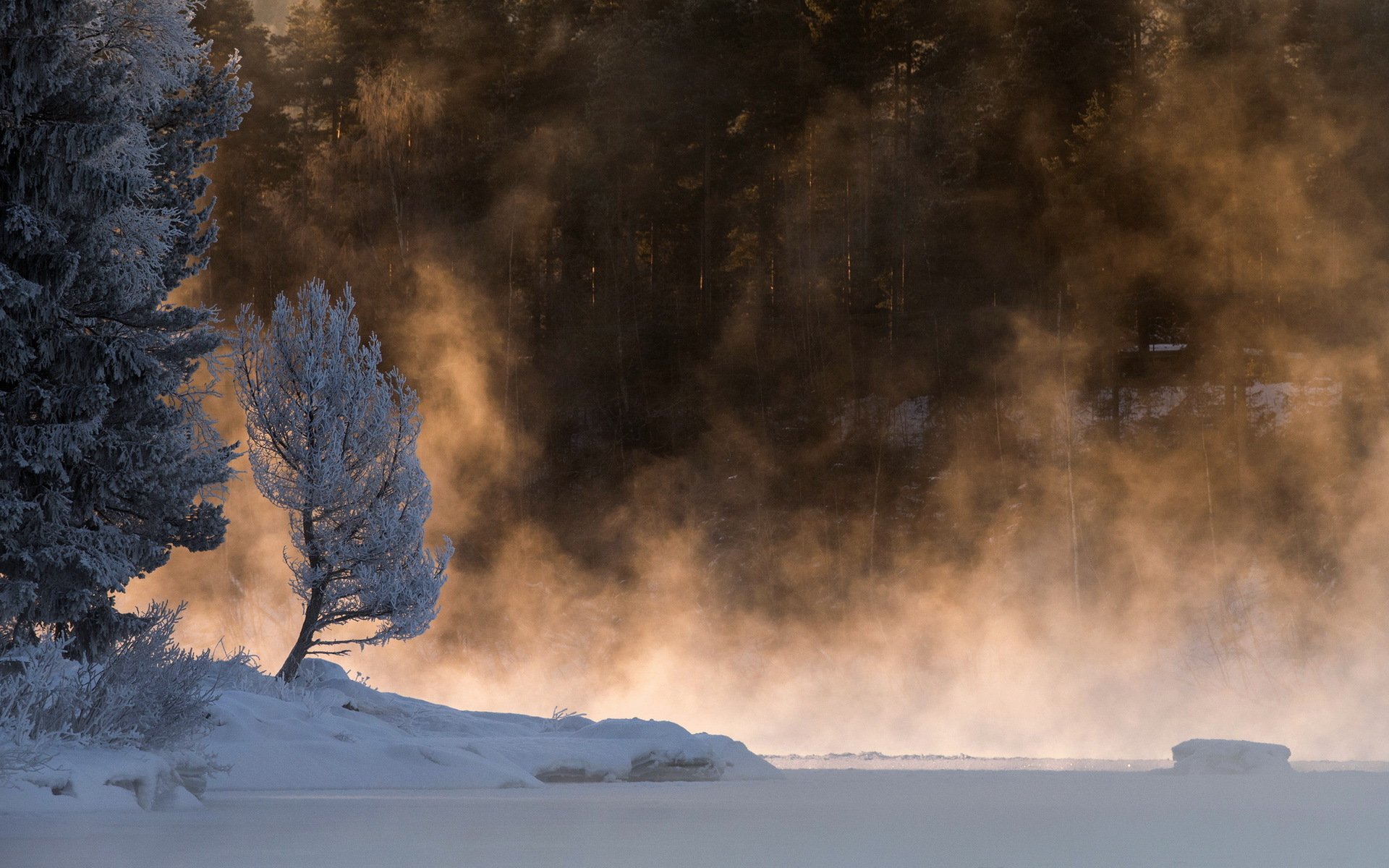 matin lac brouillard neige