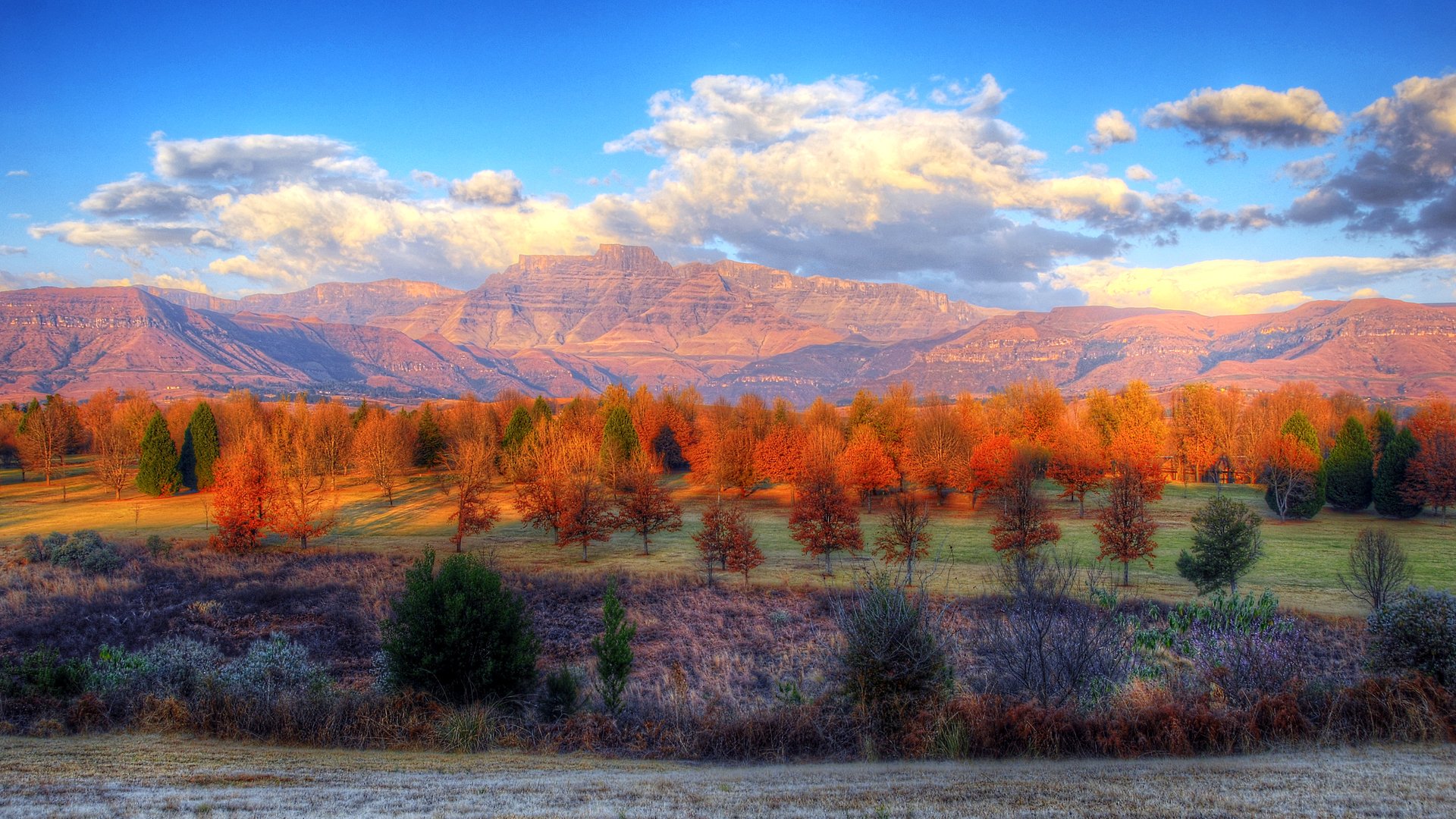 cielo nuvole montagne foresta autunno alberi