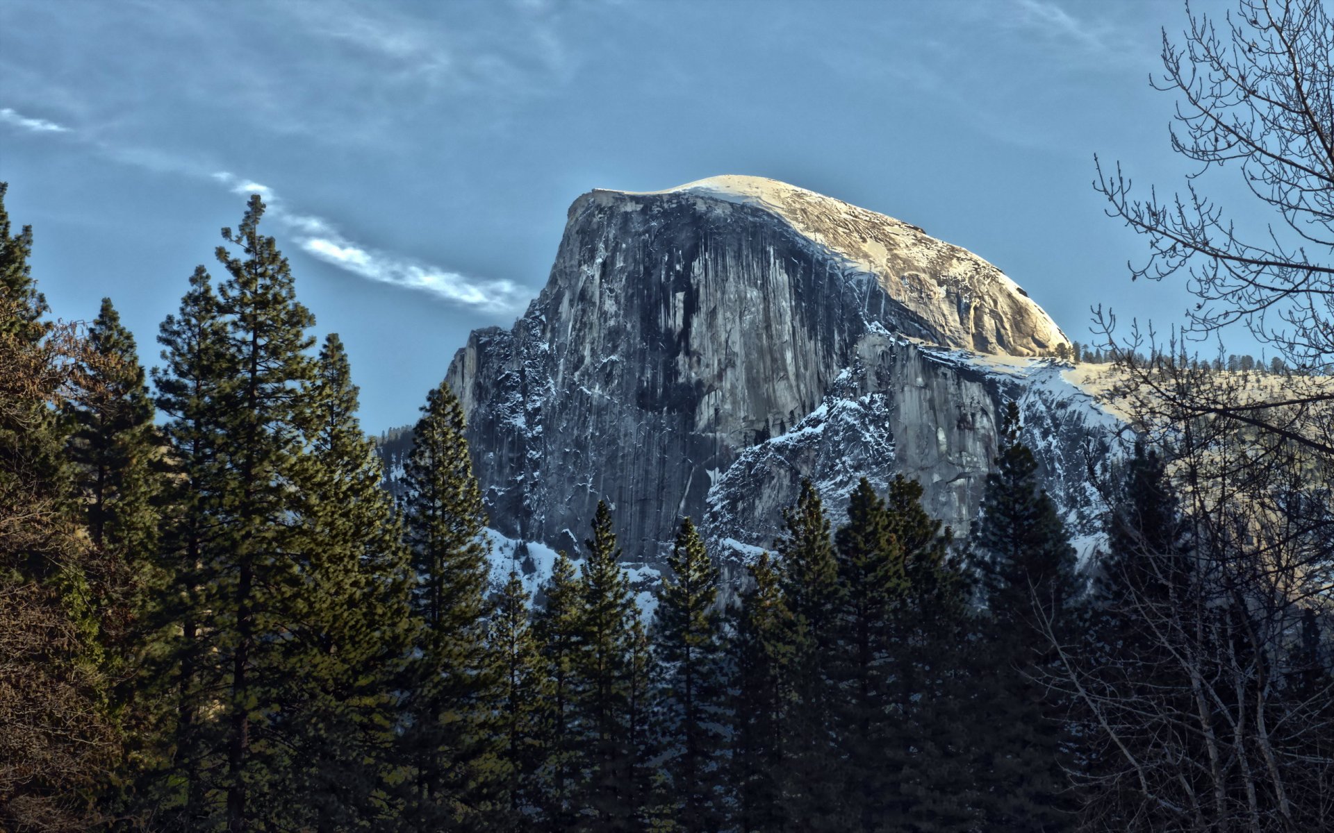 berg bäume landschaft