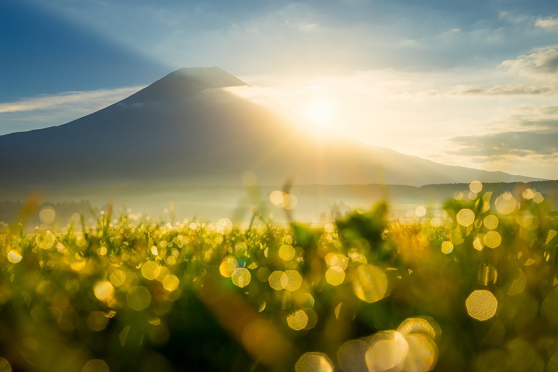 mattina sole raggi luce calore cielo nuvole montagna erba rugiada abbagliamento bokeh