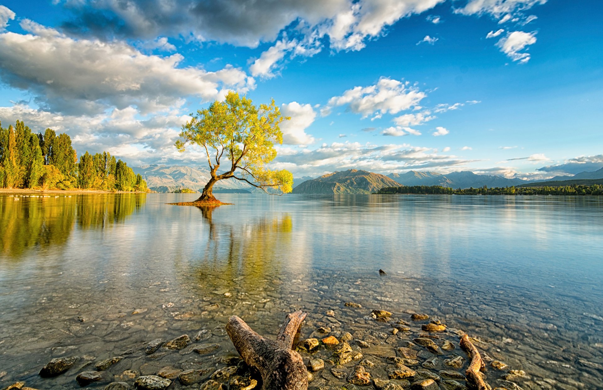 nouvelle-zélande île du sud lac huanaka arbre ciel nuages